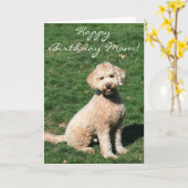 Happy Birthday Mom Mini Goldendoodle wenskaart Kaart (Gele Bloem)
