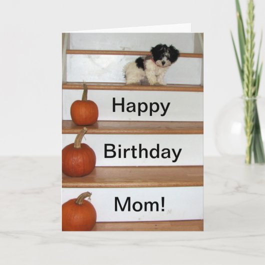 Happy Birthday Mom - puppy en pompoen Havanees Kaart (Voorkant)