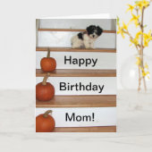 Happy Birthday Mom - puppy en pompoen Havanees Kaart (Gele Bloem)