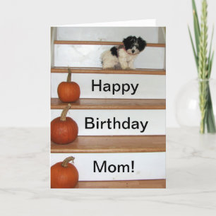 Happy Birthday Mom - puppy en pompoen Havanees Kaart
