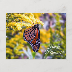 Happy Birthday Monarch Butterfly Briefkaart