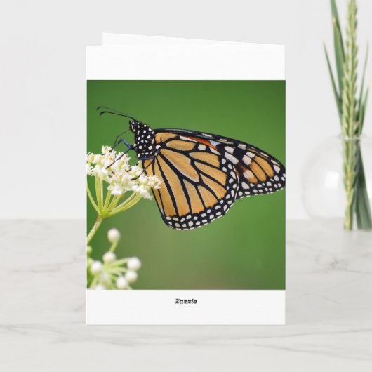 Happy Birthday Monarch Butterfly op moerasmelk Kaart (Achterkant)
