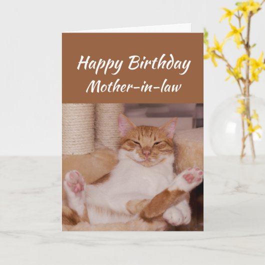 Happy Birthday Mother-in-law Celebrate Funny Cat Kaart (Gele Bloem)