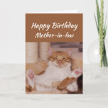 Happy Birthday Mother-in-law Celebrate Funny Cat Kaart<br><div class="desc">Happy Birthday Mother-in-law Celebrate it anway you want with a cute relaxing Cat Funny animal birthday greeting to customize</div>