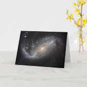 Happy Birthday My One and Only Love Kaart (Gele Bloem)