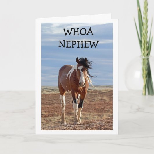 HAPPY BIRTHDAY "NEPHEW"-KAART KAART (Voorkant)