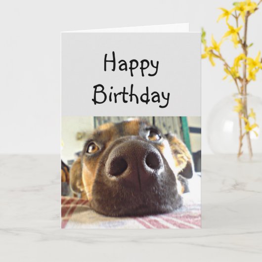 Happy Birthday NOSE Cute Dog Kaart (Gele Bloem)