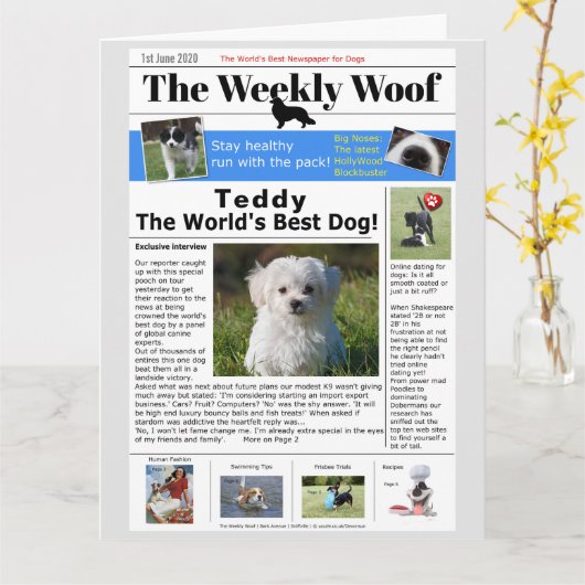 Happy Birthday Novelty Dog News Kaart (Gele Bloem)