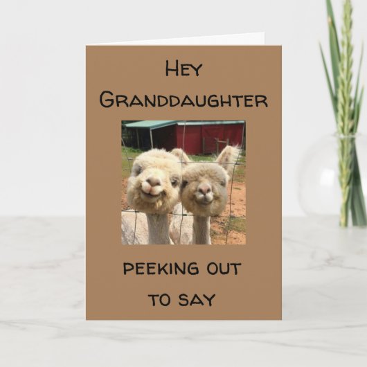 HAPPY *BIRTHDAY* OP MIJN *GRANDDAUGHTER* KAART (Voorkant)