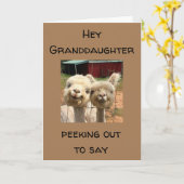 HAPPY *BIRTHDAY* OP MIJN *GRANDDAUGHTER* KAART (Gele Bloem)