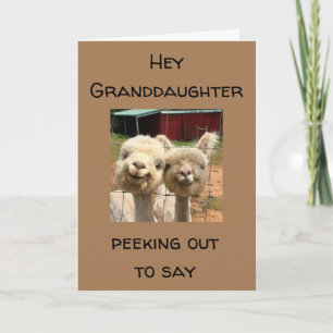 HAPPY *BIRTHDAY* OP MIJN *GRANDDAUGHTER* KAART