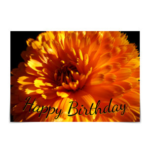 "Happy Birthday" Oranje Chrysanthemum Kaart