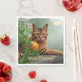 Happy Birthday Oranje Tabby Cat Servet (Insitu)