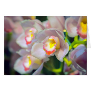 Happy Birthday Orchid Restyle Wenskaart