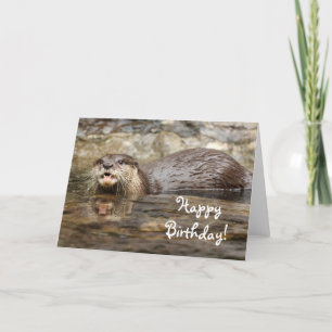 Happy Birthday otter Wenskaart Kaart