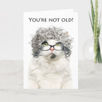 Happy Birthday Ouder Vrouw Kat in Grijs Pruik