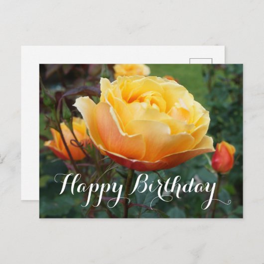 Happy Birthday over Roos #2 Briefkaart (Voorkant / Achterkant)