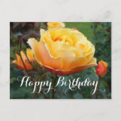 Happy Birthday over Roos #2 Briefkaart (Voorkant)