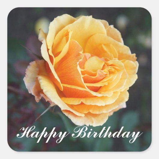 Happy Birthday over Roos #3 Stickers (Voorkant)