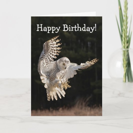 Happy Birthday Owl Kaart (Voorkant)