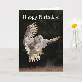 Happy Birthday Owl Kaart