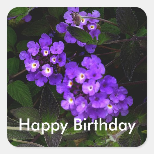 Happy Birthday Paars Trailing Lantana #1 Stickers (Voorkant)