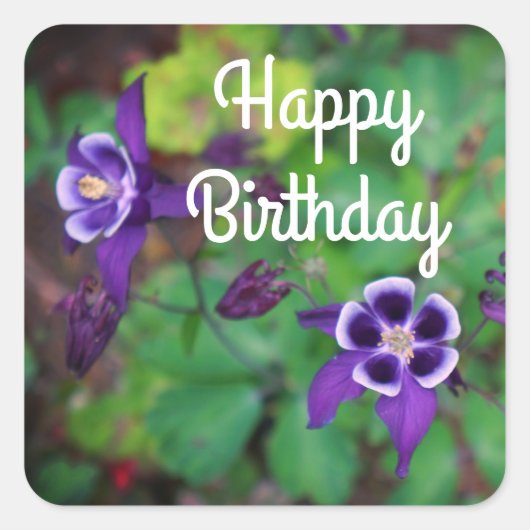 Happy Birthday Paarse Columbine Flowers Stickers (Voorkant)