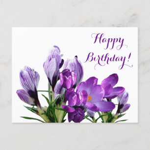 Happy Birthday  paarse krokusbloemen bloemenpracht Briefkaart