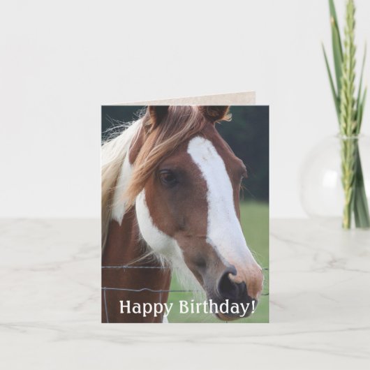 Happy Birthday Paint Horse Equestrian Riding Kaart (Voorkant)