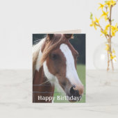Happy Birthday Paint Horse Equestrian Riding Kaart (Gele Bloem)