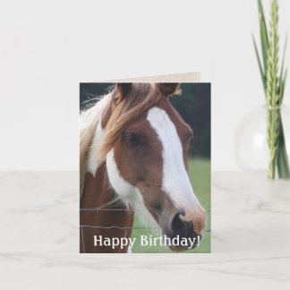 Happy Birthday Paint Horse Equestrian Riding Kaart