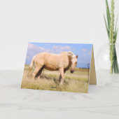 Happy Birthday Palomino Horse Kaart (Achterkant)