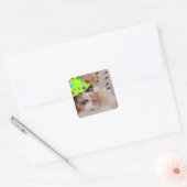 Happy Birthday Party Calico Cat Vierkante Sticker (Envelop)