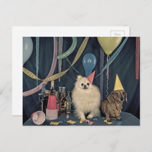Happy Birthday Party met honden en Drinken Briefkaart (Voorkant / Achterkant)