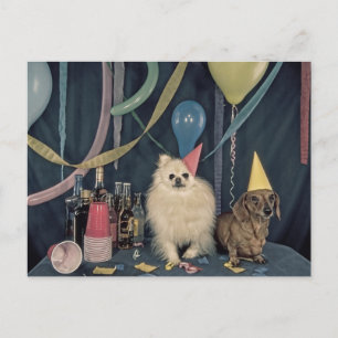 Happy Birthday Party met honden en Drinken Briefkaart