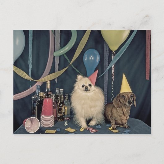 Happy Birthday Party met honden en Drinken Briefkaart (Voorkant)