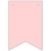 Happy Birthday Pastel Rainbow BUNTING FLAGS Vlaggetjes (Eerste vlag)