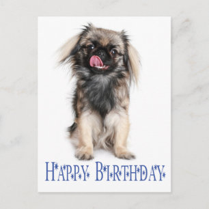 Happy Birthday Pekingese Puppy Dog Blue Briefkaart