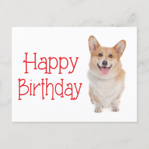 Happy Birthday Pembroke Corgi Puppy Dog Postcard Briefkaart