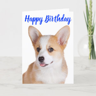 Happy Birthday Pembroke Welsh Corgi Puppy Dog Kaart
