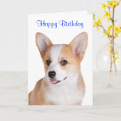 Happy Birthday Pembroke Welsh Corgi Wenskaart Kaart (Gele Bloem)