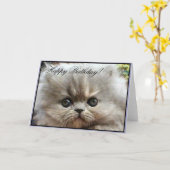 Happy Birthday Perzisch kitten wenskaart Kaart (Gele Bloem)