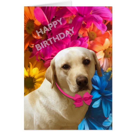Happy Birthday, Pet, Dog, Cute Labrador Flowers (Voorkant)