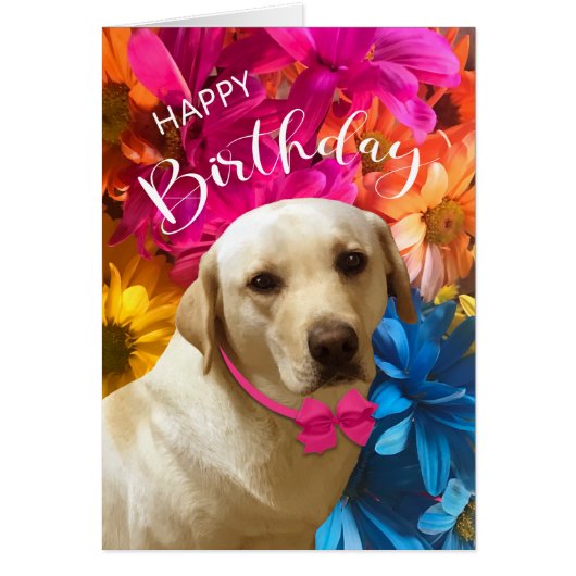 Happy Birthday, Pet, Dog, Cute Labrador Flowers (Voorkant)