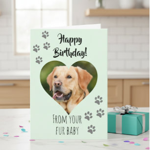 Happy Birthday Photo Dog Cat Pet Fur Baby Kaart