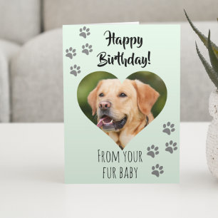 Happy Birthday Photo Dog Cat Pet Fur Baby Kaart