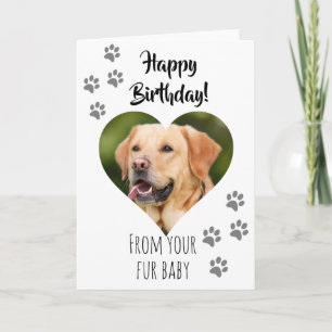 Happy Birthday Photo Dog Cat Pet Fur Baby Kaart