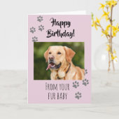 Happy Birthday Photo Dog Cat Pet Fur Baby Kaart (Gele Bloem)