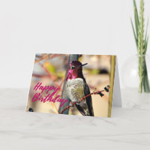 Happy Birthday Pink Anna's Hummingbird Fotokaart