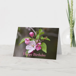 Happy Birthday Pink Crab Apple Flowers Kaart